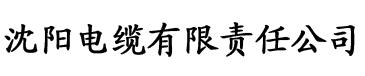 狠狠综合久久久久尤物电缆厂logo